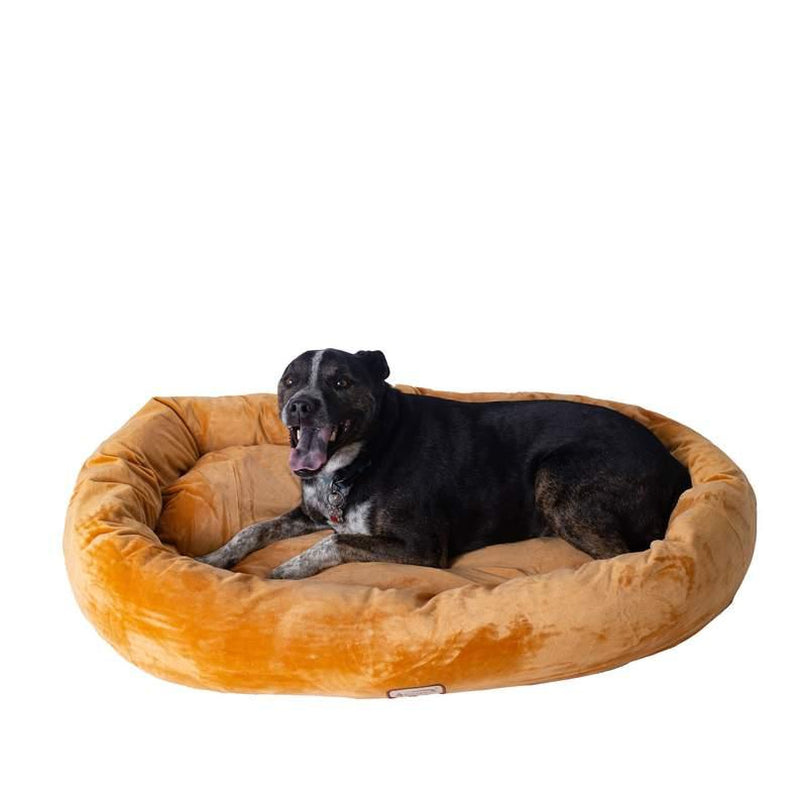 Armarkat Bolstered Pet Bed and Mat, Ultra-Soft Dog Bed S/M/L